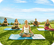Wellness
